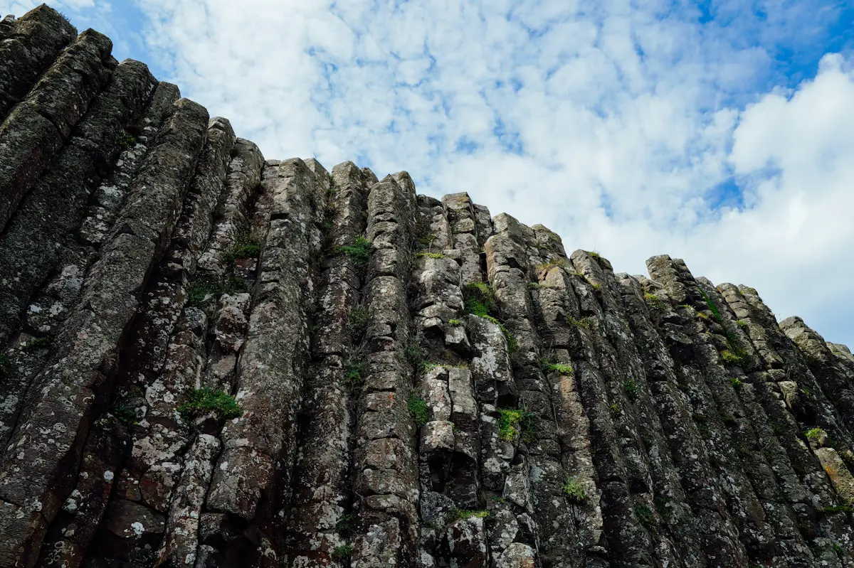 Gaints Causeway Organ